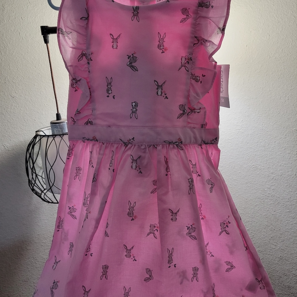 5t Easter dress from Carter's